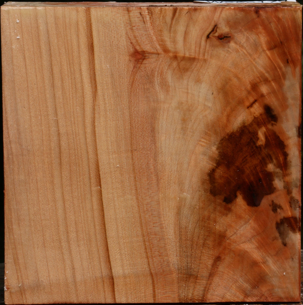 Figured Maple Bowl Blank