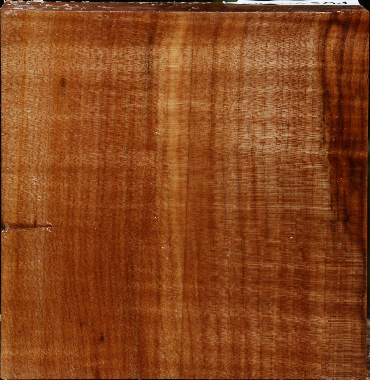 Figured Maple Bowl Blank