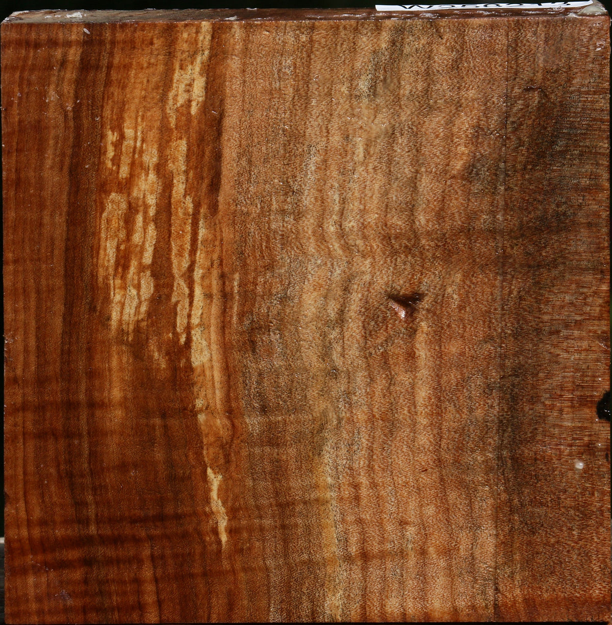 Figured Maple Bowl Blank