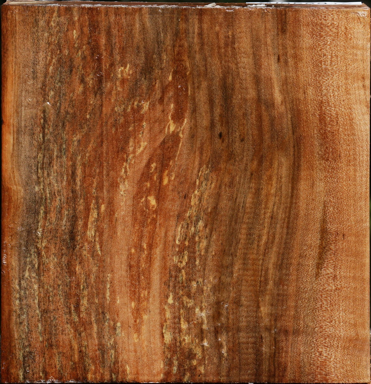 Maple Bowl Blank