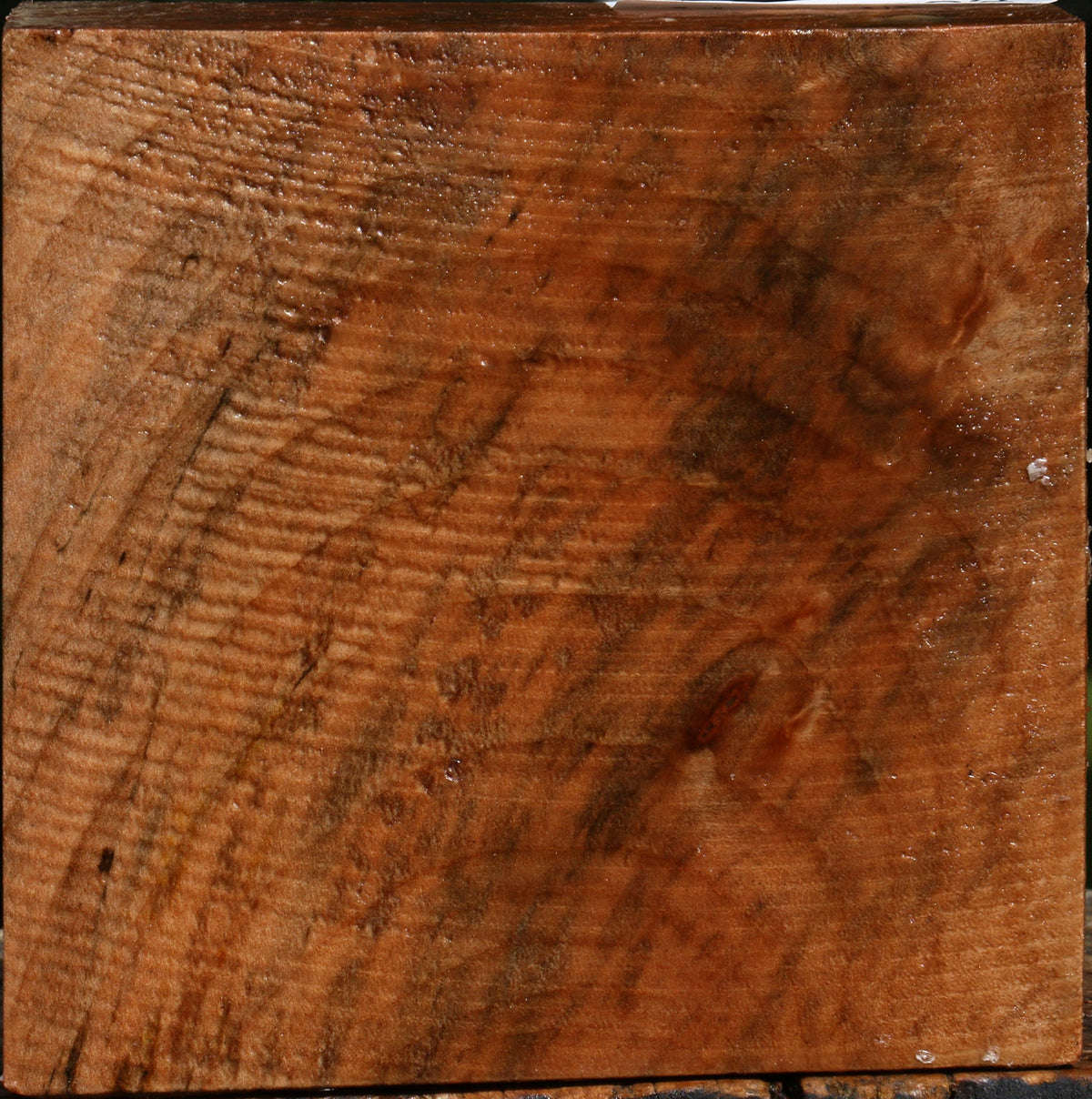 Figured Maple Bowl Blank