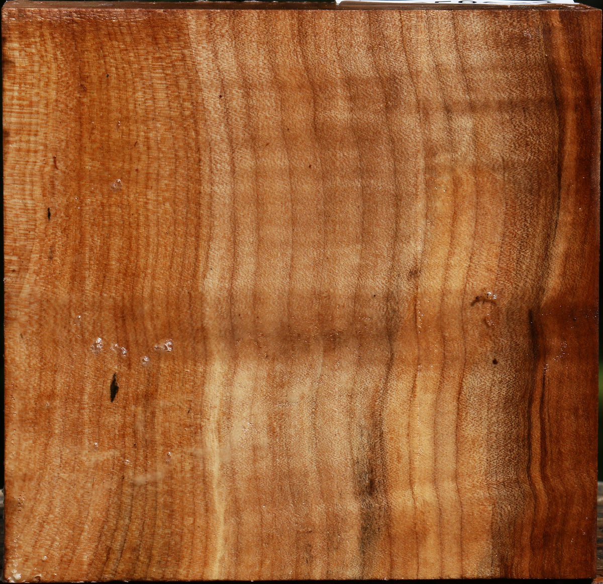 Figured Maple Bowl Blank