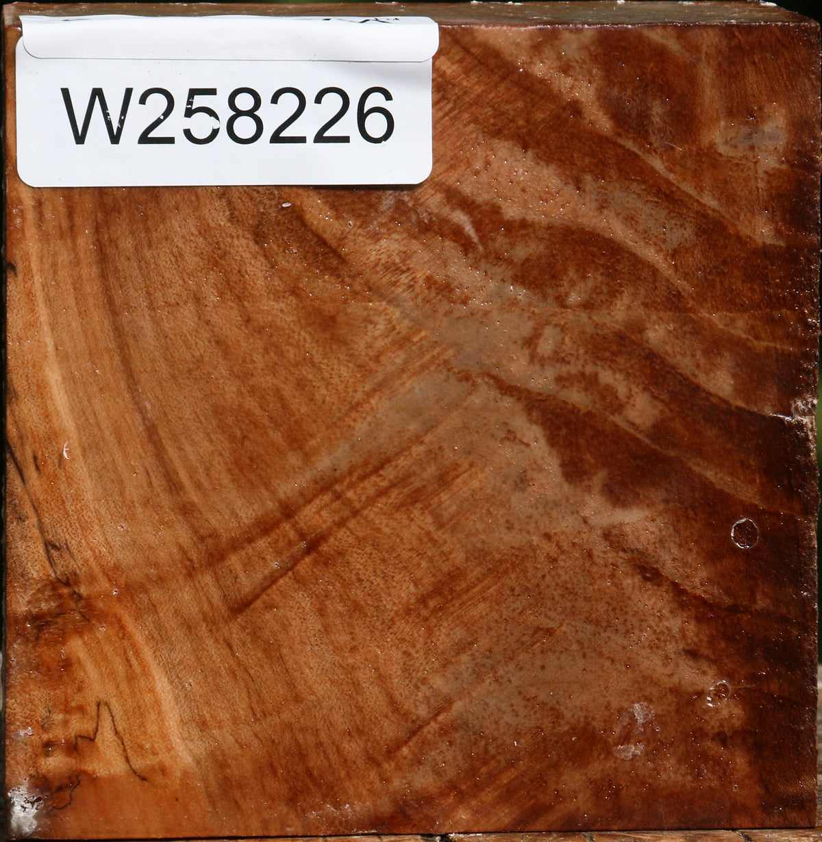 Figured Maple Bowl Blank