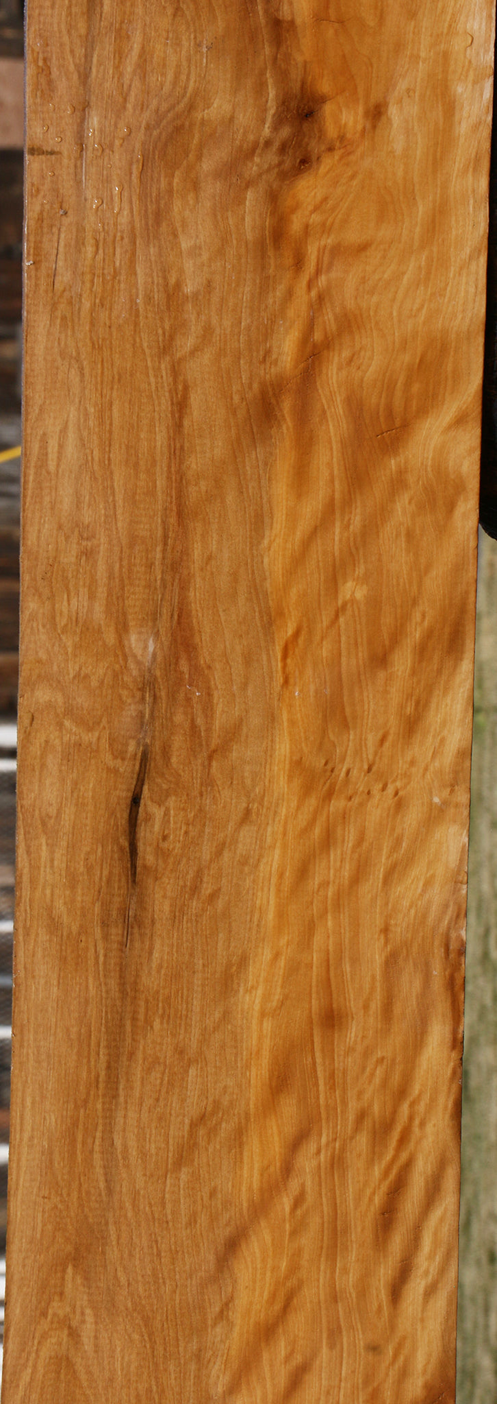 Extra Fancy Castello Boxwood Lumber