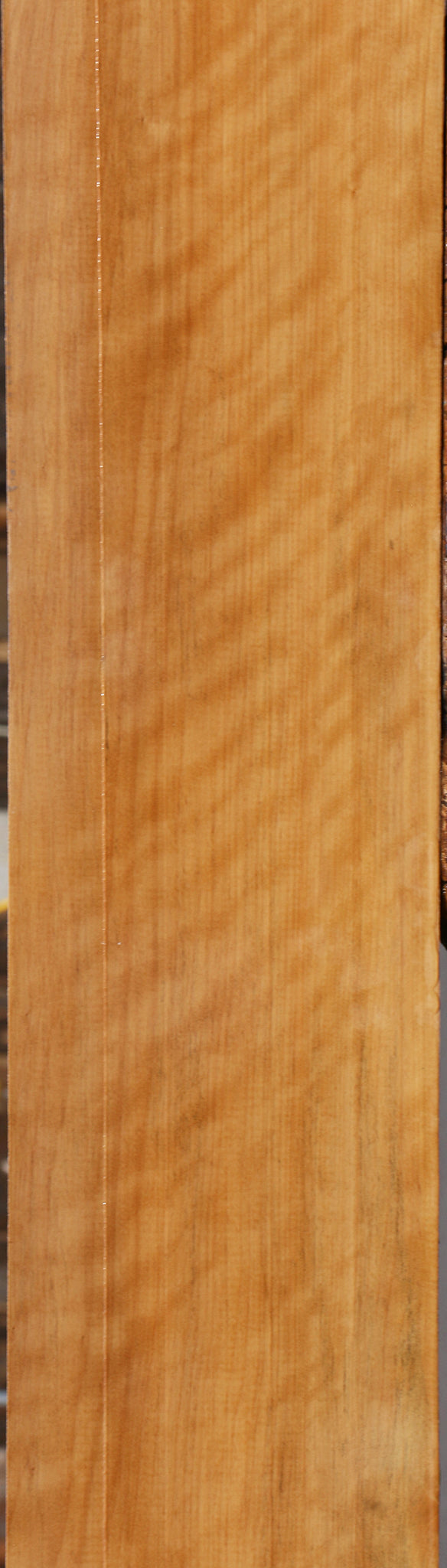 Extra Fancy Castello Boxwood Lumber