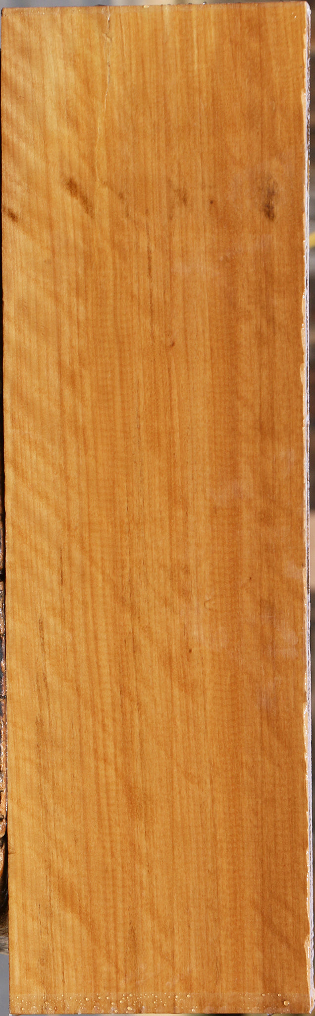 Extra Fancy Castello Boxwood Lumber