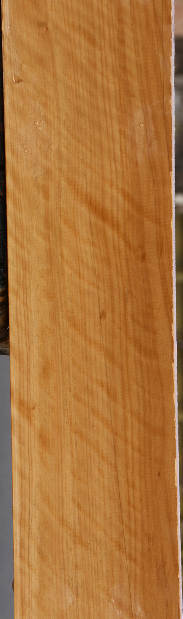 Extra Fancy Castello Boxwood Lumber