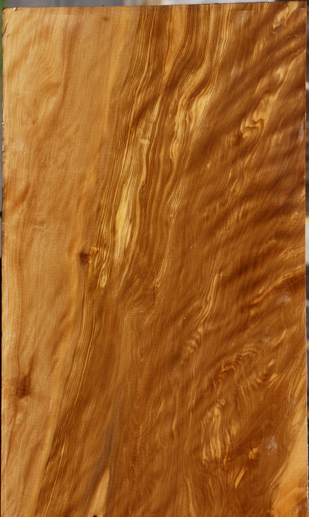 Exhibition Castello Boxwood Lumber