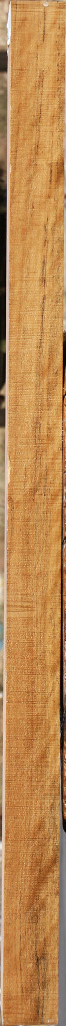 Figured Castello Boxwood Lumber