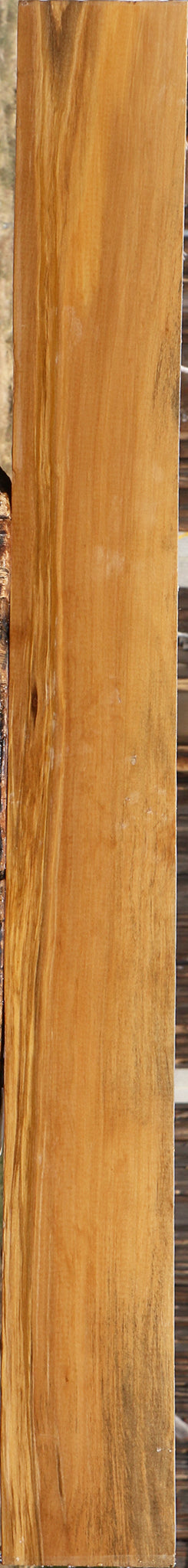 Castello Boxwood Lumber