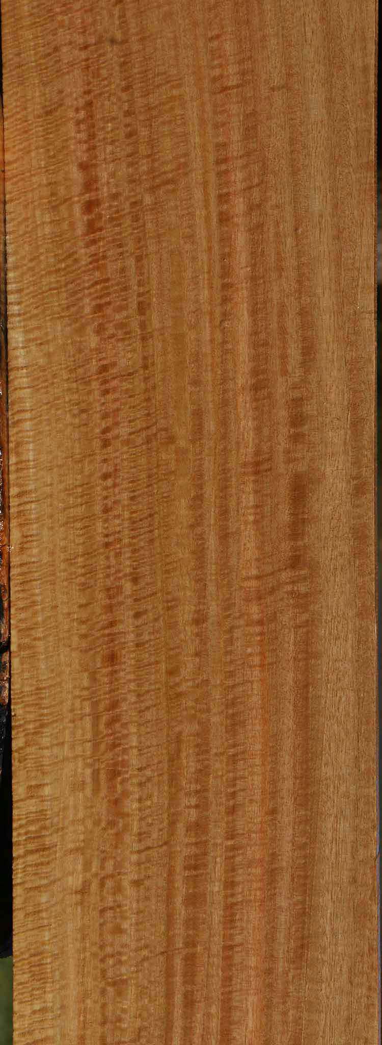 Exhibition Eucalyptus Lumber