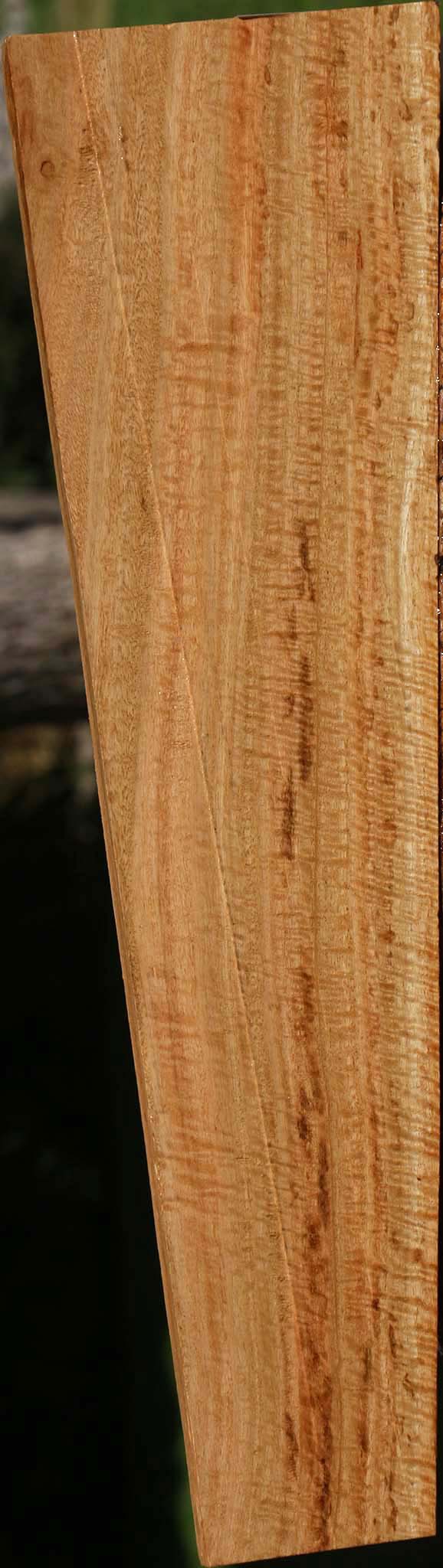 Extra Fancy Eucalyptus Lumber