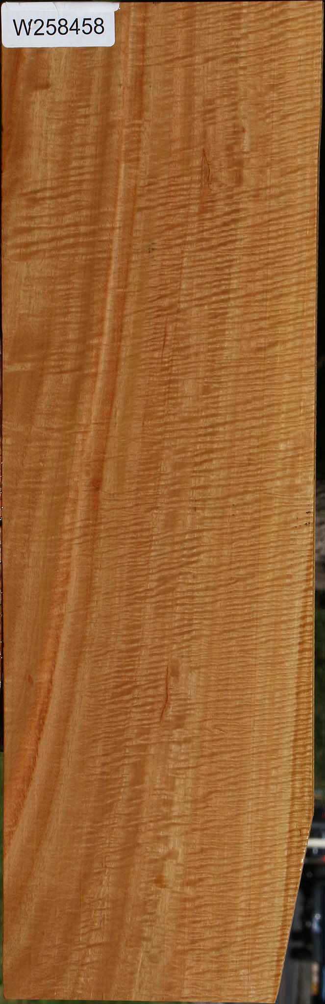 Extra Fancy Eucalyptus Lumber