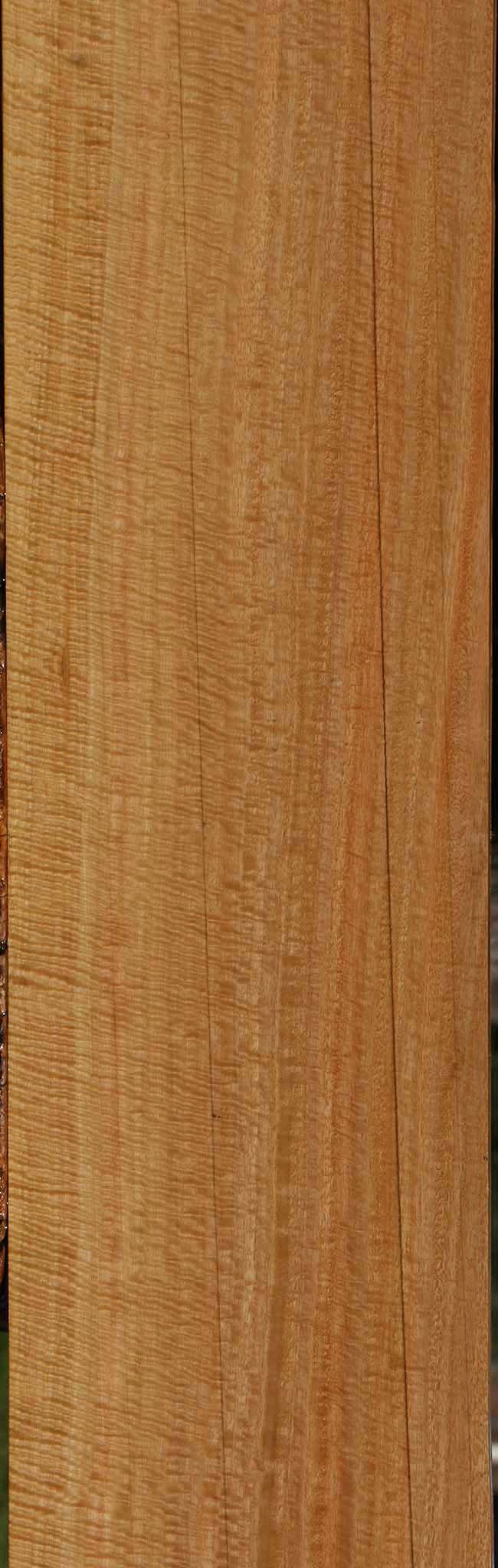 Exhibition Eucalyptus Lumber