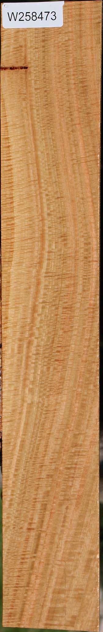 Exhibition Eucalyptus Lumber