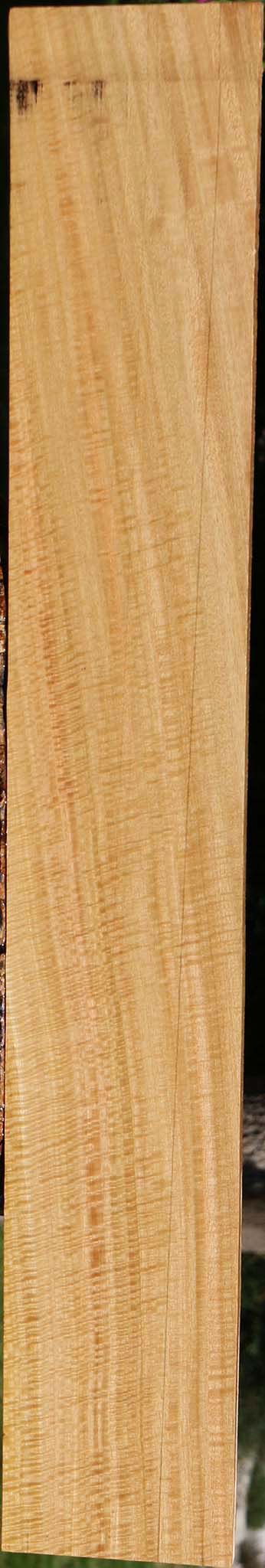 Exhibition Eucalyptus Lumber