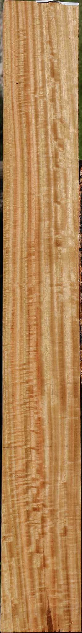 Extra Fancy Eucalyptus Micro Lumber