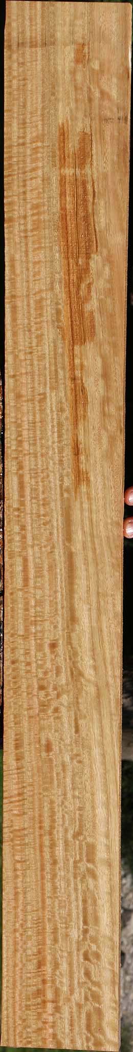 Extra Fancy Eucalyptus Lumber