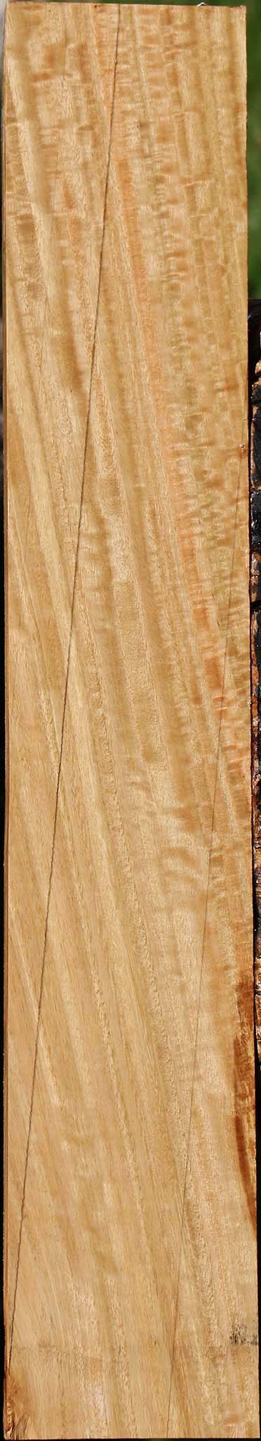 Extra Fancy Eucalyptus Lumber