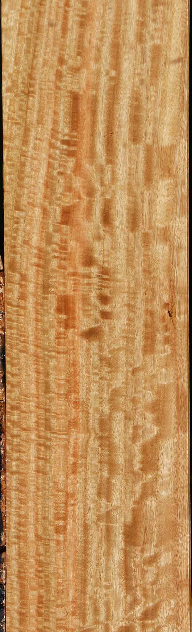 Extra Fancy Eucalyptus Lumber