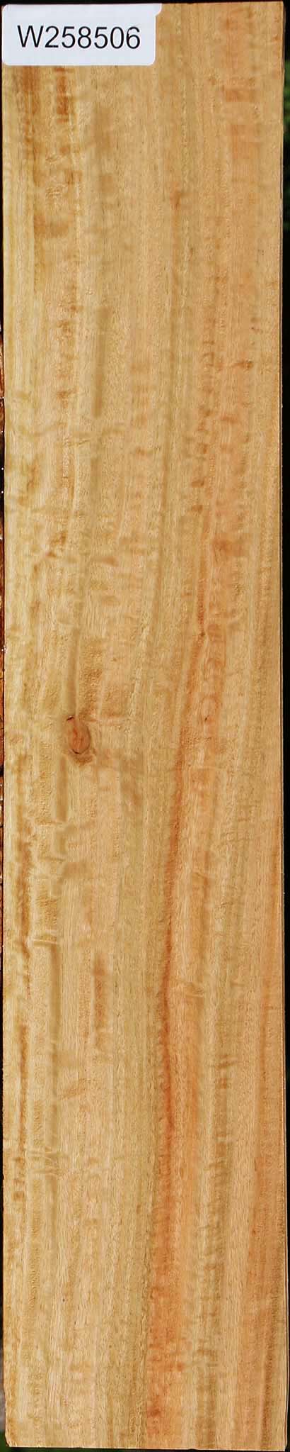 Extra Fancy Eucalyptus Lumber