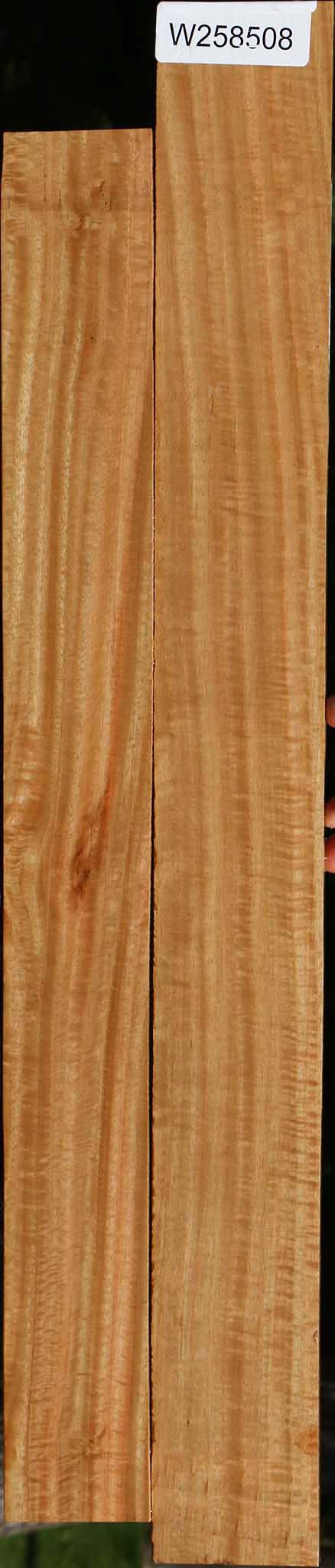 Eucalyptus Lumber 2 Pack