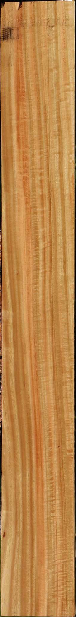 Extra Fancy Eucalyptus Lumber