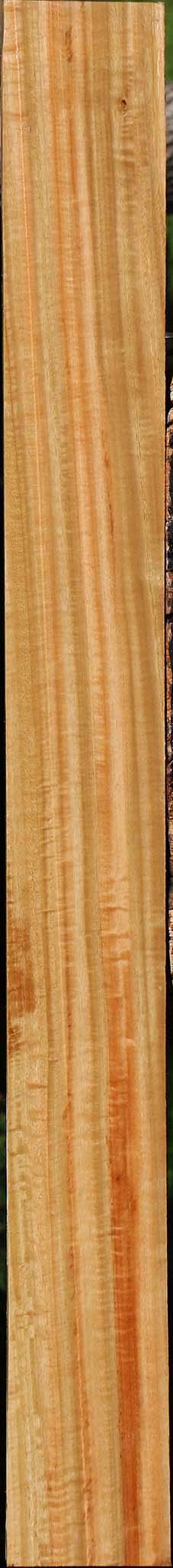 Extra Fancy Eucalyptus Lumber