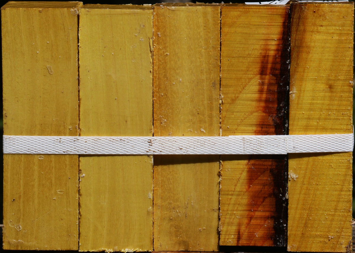 Osage Orange Turning Square 5 Pack
