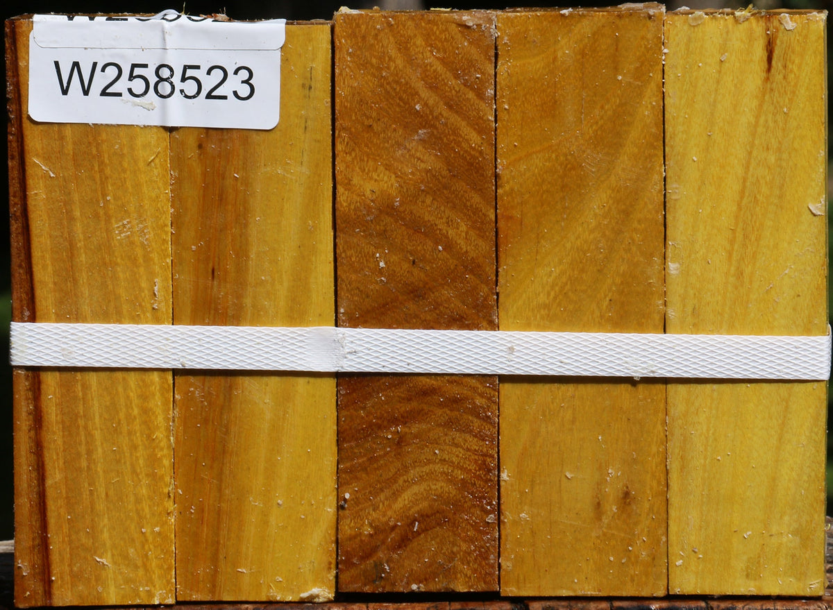 Osage Orange Turning Square 5 Pack