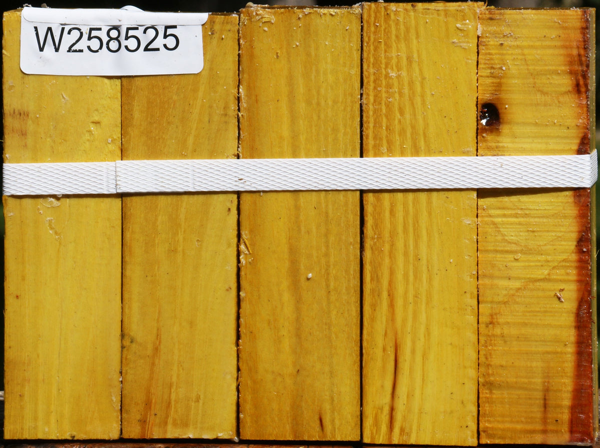 Osage Orange Turning Square 5 Pack