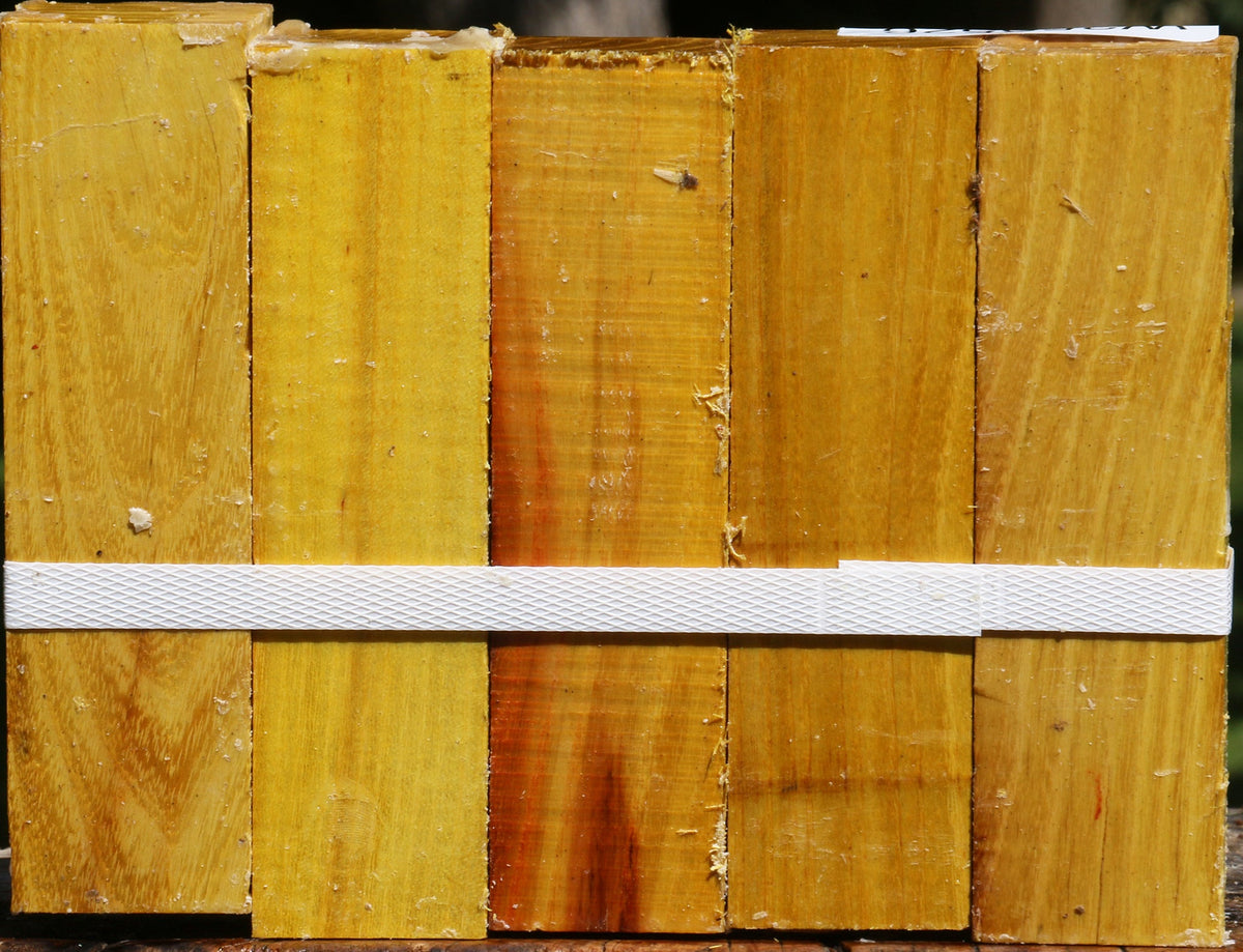 Osage Orange Turning Square 5 Pack