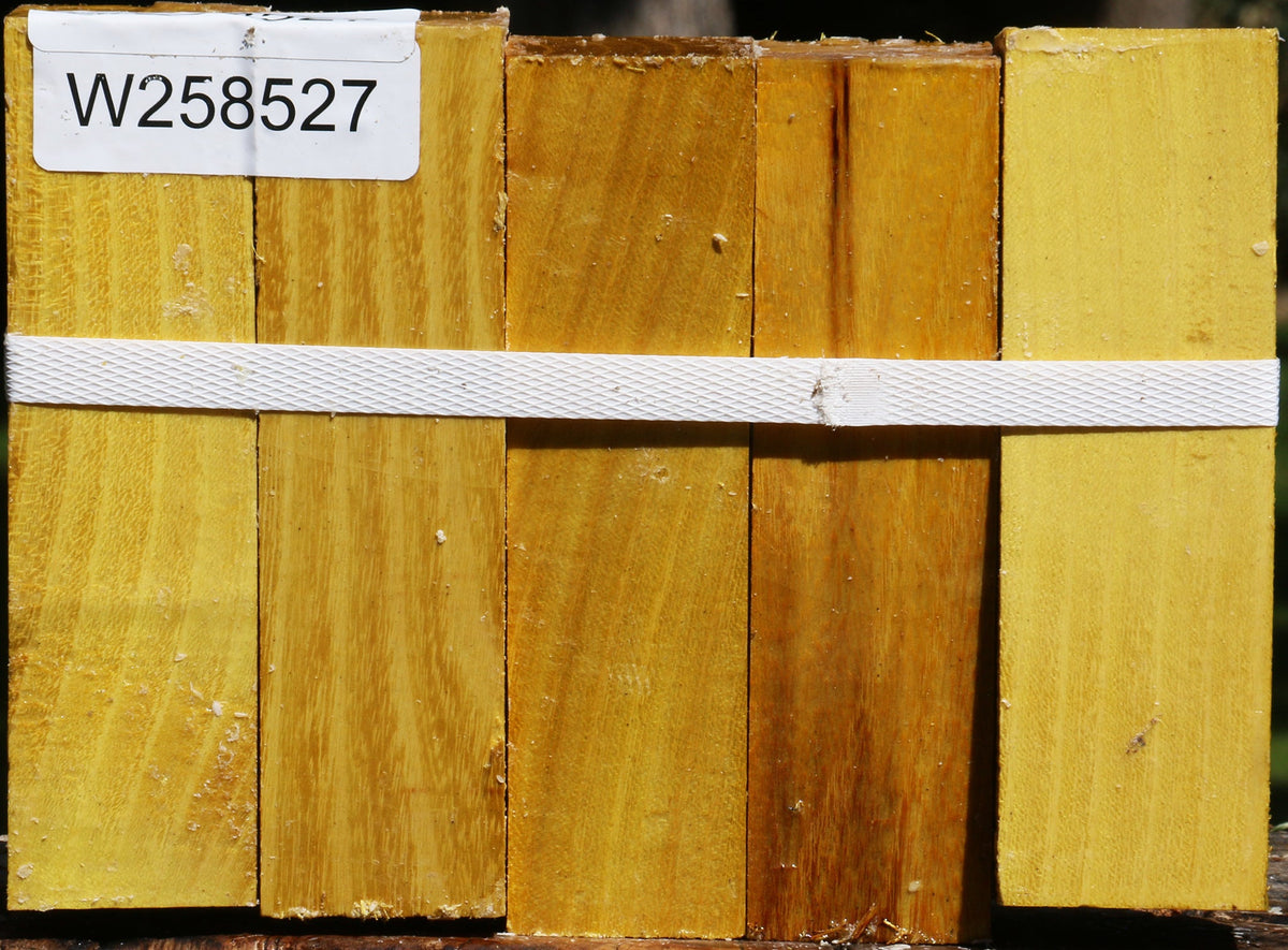 Osage Orange Turning Square 5 Pack