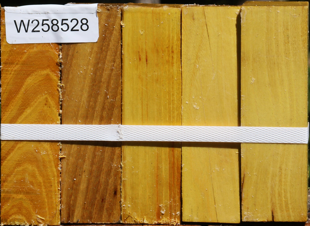 Osage Orange Turning Square 5 Pack