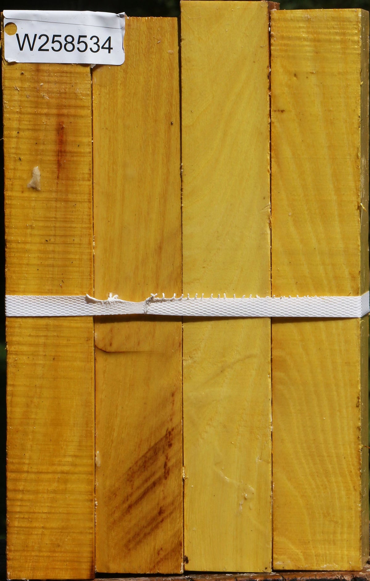 Osage Orange Turning Square 4 Pack
