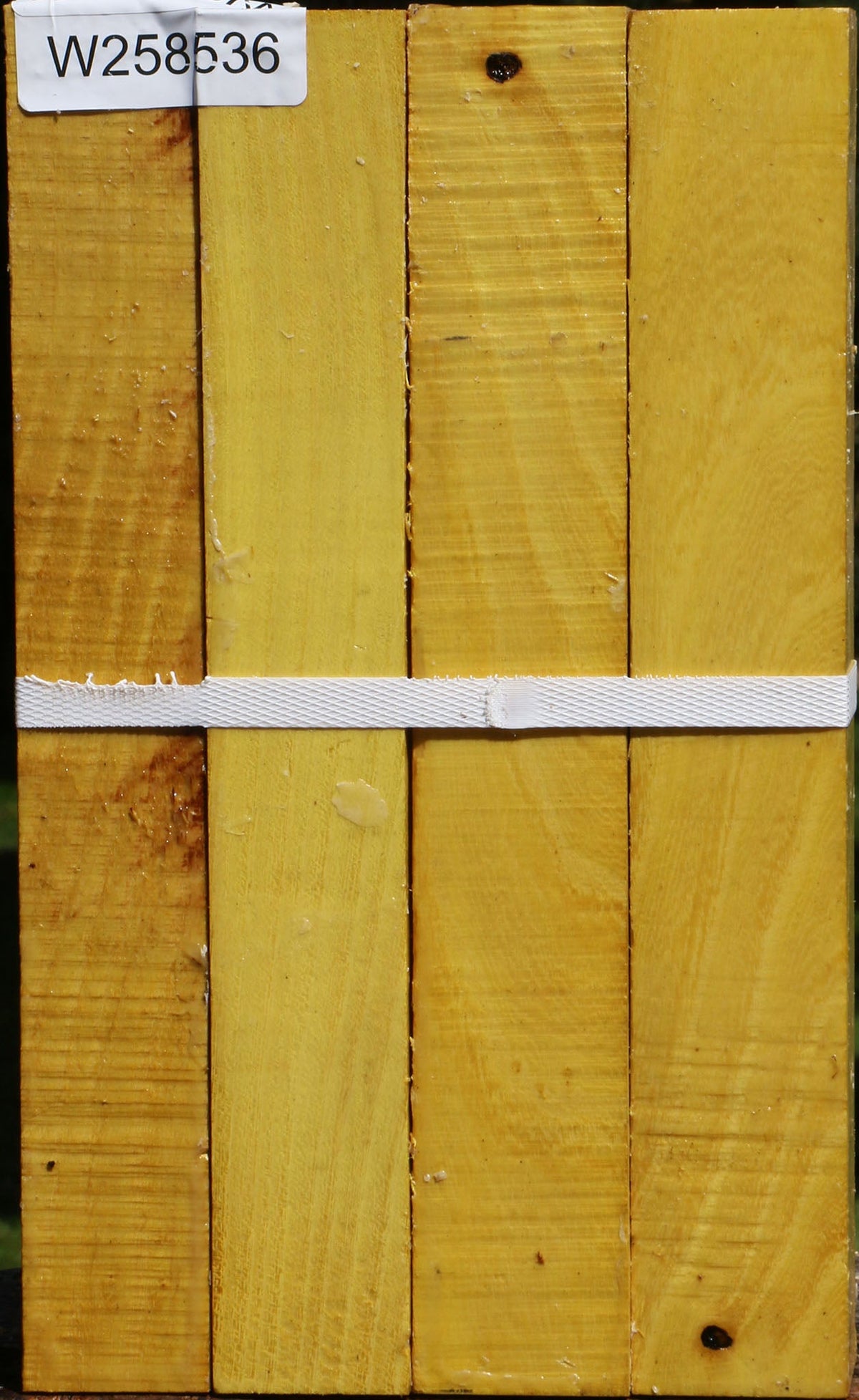 Osage Orange Turning Square 4 Pack