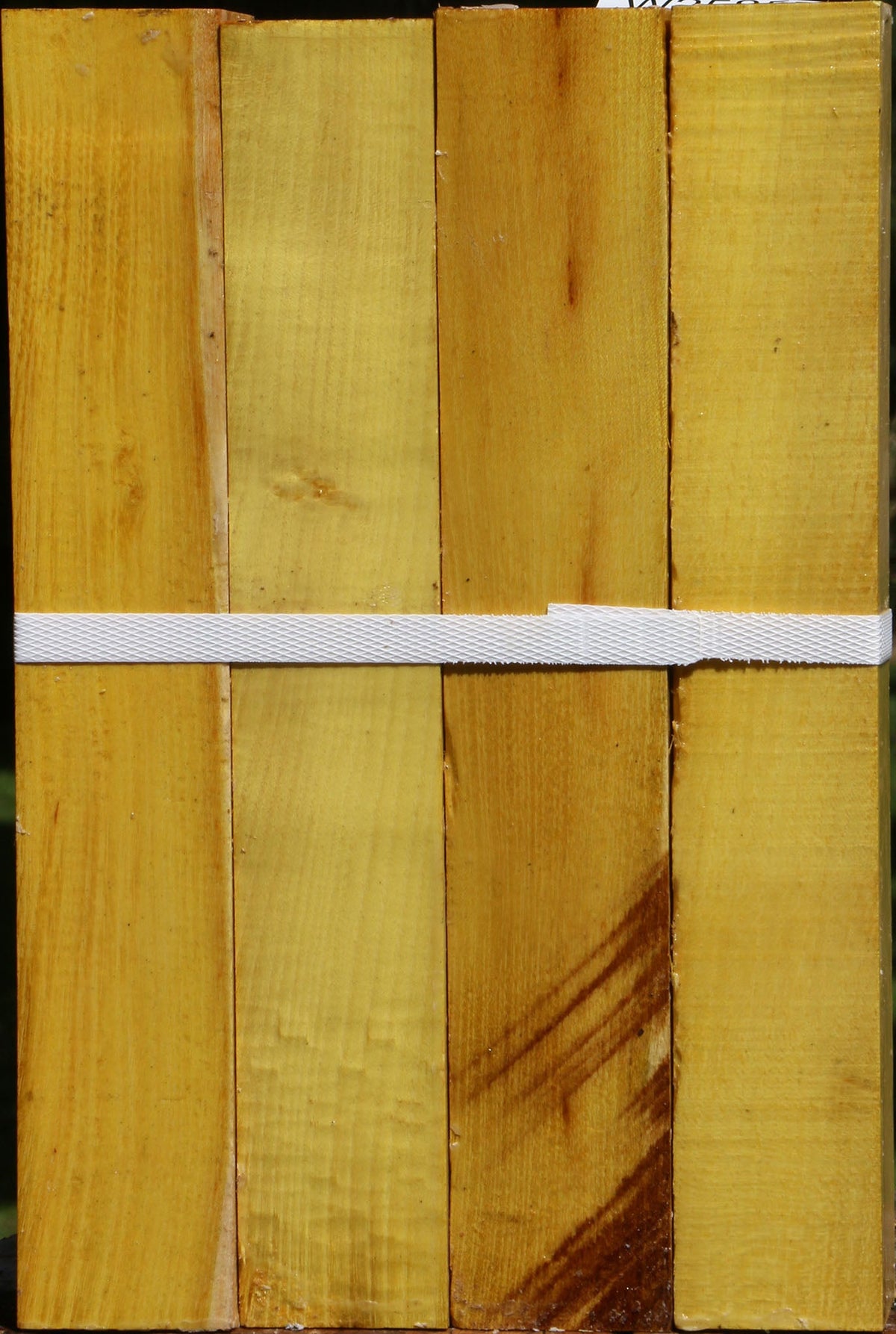 Osage Orange Turning Square 4 Pack