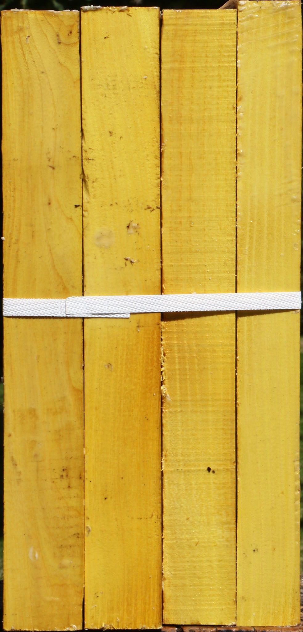 Osage Orange Turning Square 4 Pack