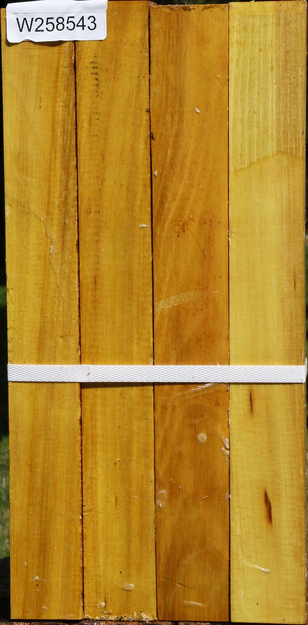 Osage Orange Turning Square 4 Pack