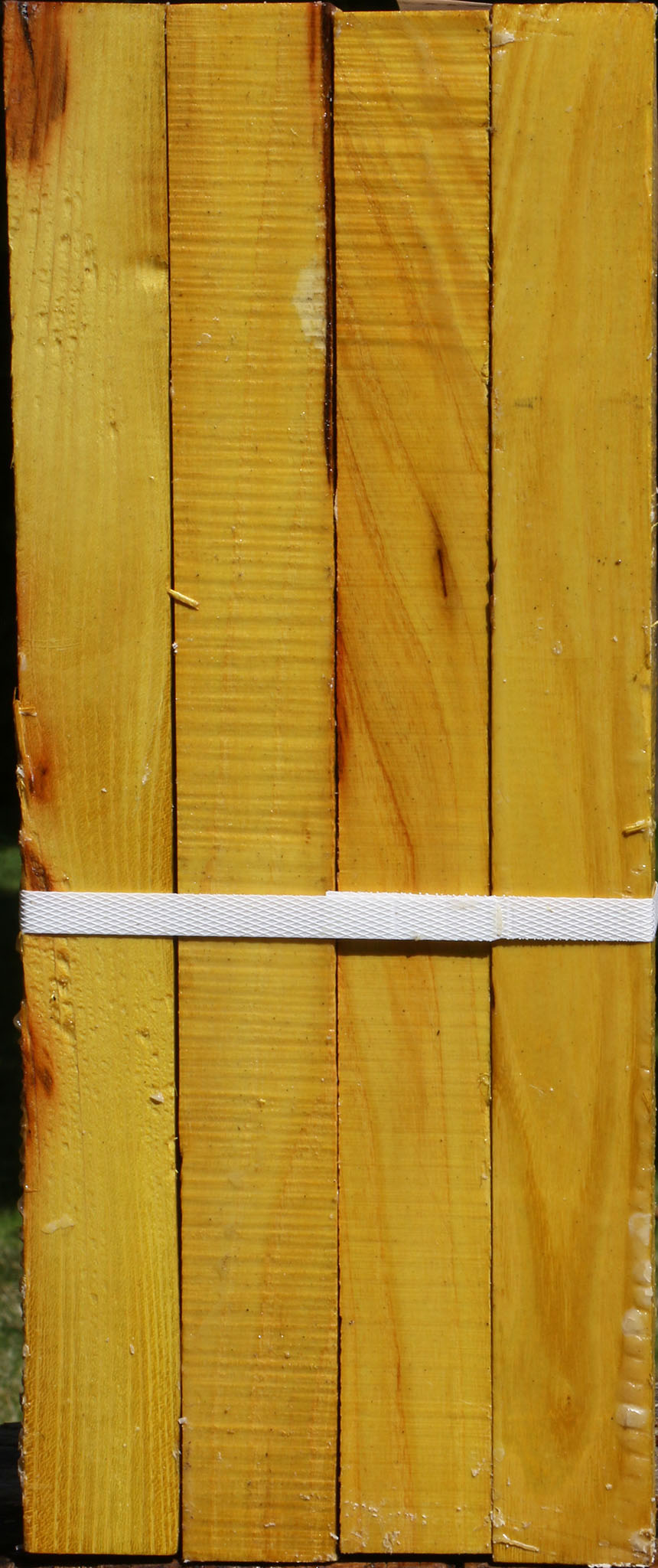 Osage Orange Turning Square 4 Pack