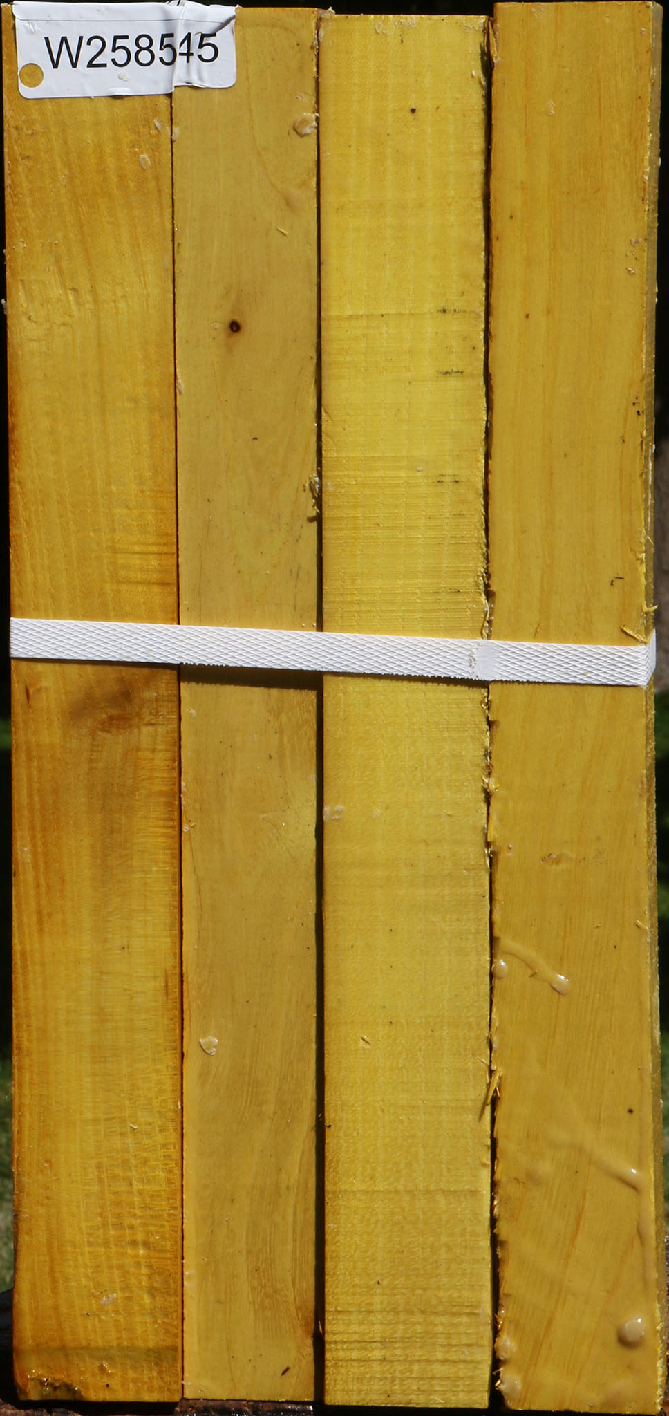 Osage Orange Turning Square 4 Pack