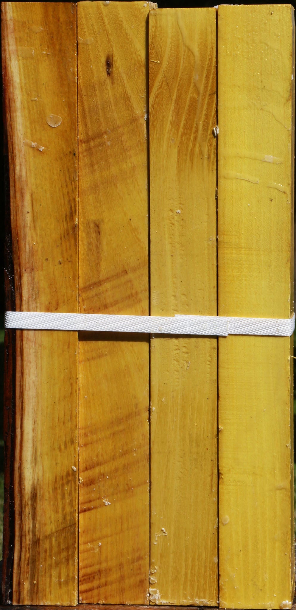 Osage Orange Turning Square 4 Pack