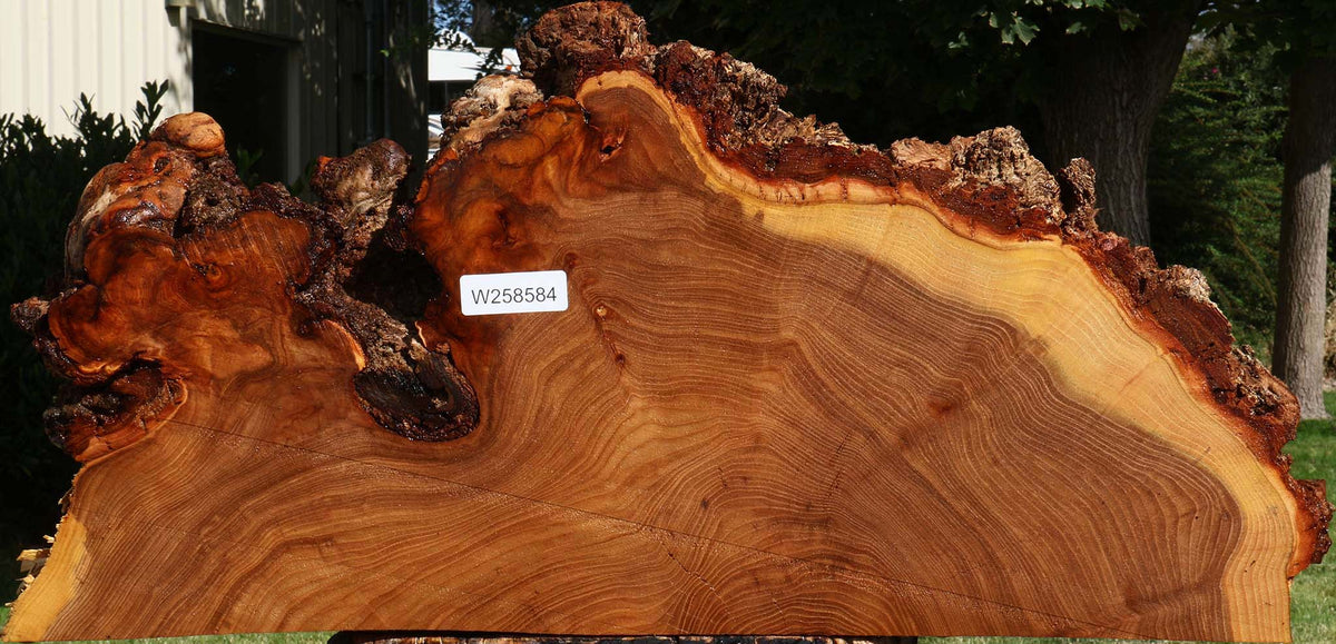 Figured Elm Live Edge Slice