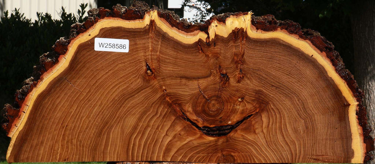 Figured Elm Live Edge Slice