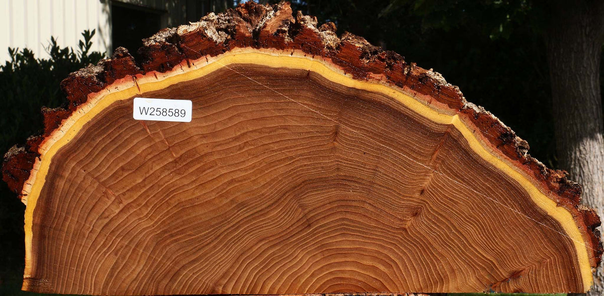 Elm Live Edge Slice