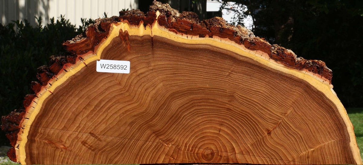 Elm Live Edge Slice