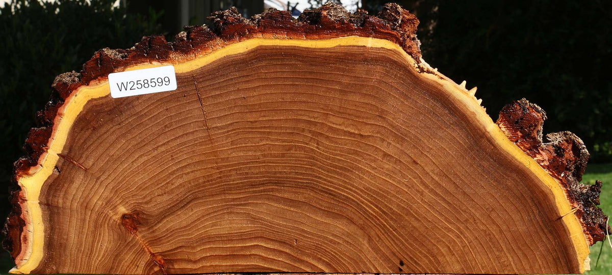 Elm Live Edge Slice