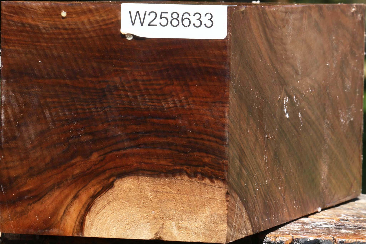 Figured English Walnut Vessel Blank