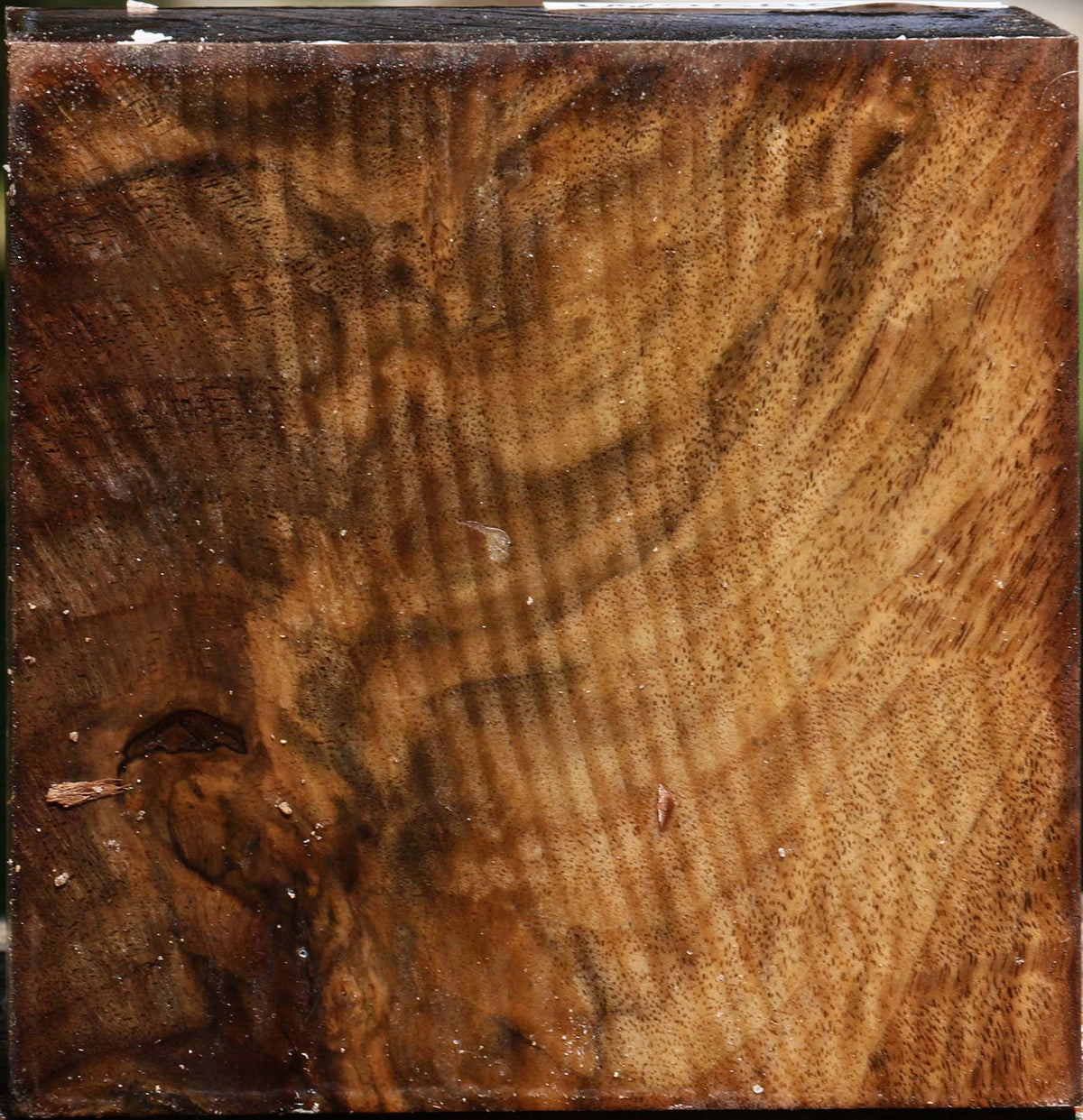 Figured Claro Walnut Bowl Blank