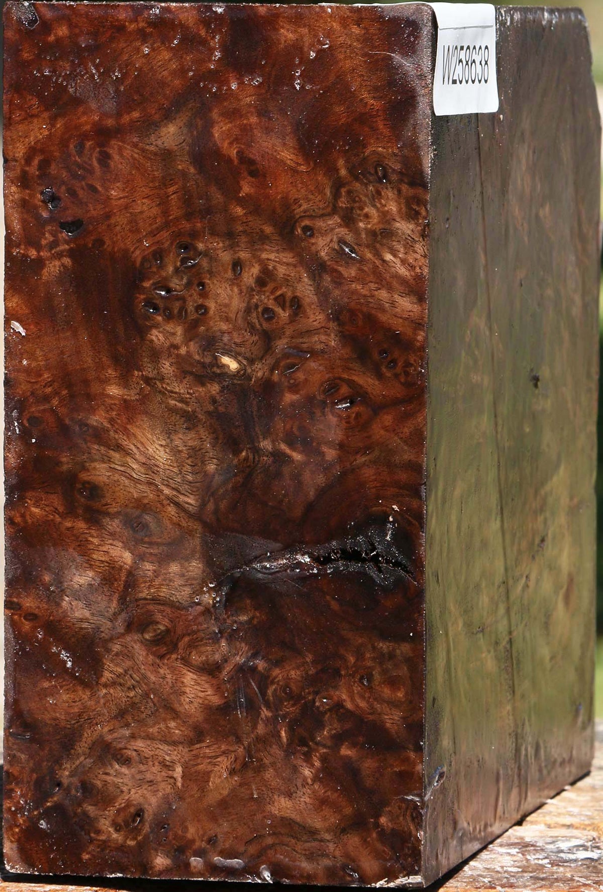 Claro Walnut Burl Bowl Blank